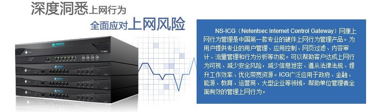  互联网控制网关 NS-ICG 3000-10 